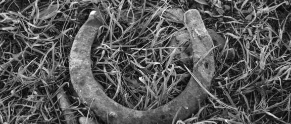 Black and White NZ