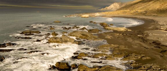 Seaside NZ