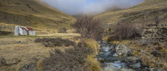 Huts and Horses NZ