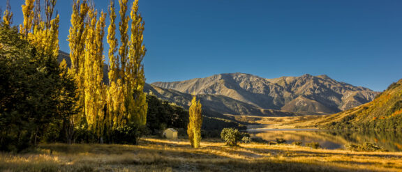 Canterbury NZ